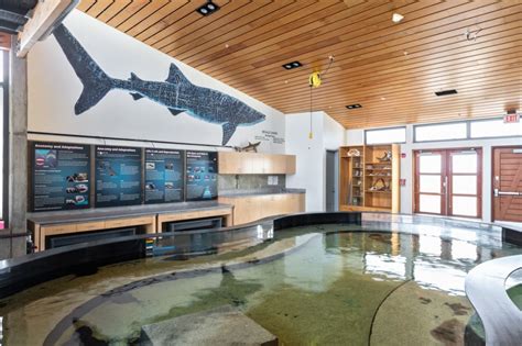 Ocean institute california - OCEANS INSTITUTE OVERVIEW. The iconic Ocean Institute offers visitors a place to explore the ocean’s underwater world and offers in-depth Marine Science, Maritime History, and …